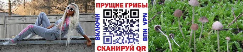 Псилоцибиновые грибы ЛСД  Любань 